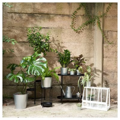 IKEA AKERBAR Greenhouse, in/outdoor/white | IKEA Growing accessories | IKEA Plants & flowers | IKEA Decoration | Eachdaykart - EachDayKart