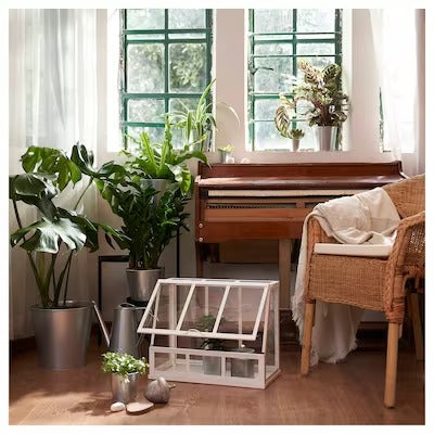 IKEA AKERBAR Greenhouse, in/outdoor/white | IKEA Growing accessories | IKEA Plants & flowers | IKEA Decoration | Eachdaykart - EachDayKart