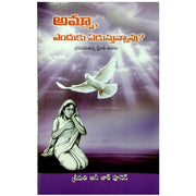 Ammaa enduku edustunnavu by Annie Poonen | Telugu Zac Poonen Books | Telugu christian Books - EachDayKart