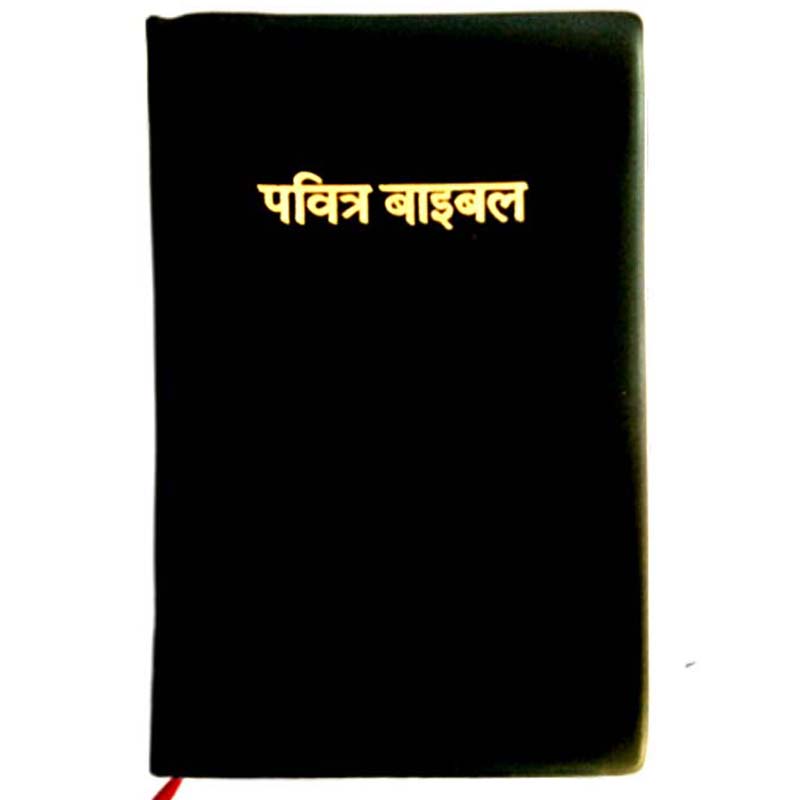 Pavitra Bible – Hindi Bible – Bible Society of India - EachDayKart
