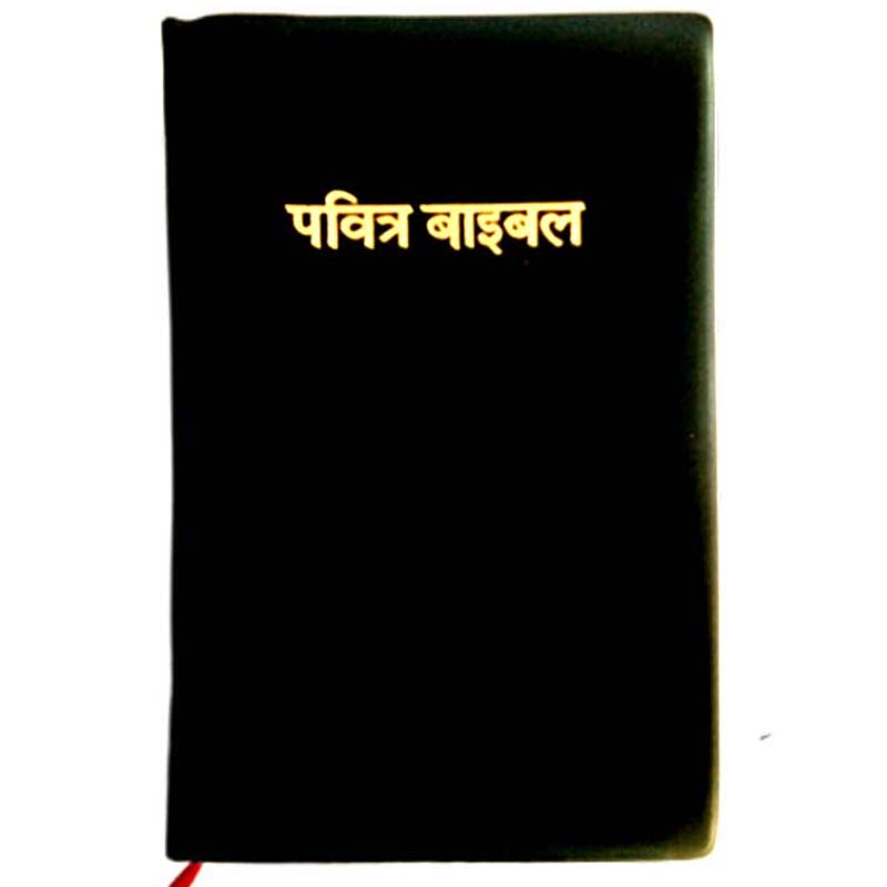 Pavitra Bible – Hindi Bible – Bible Society of India