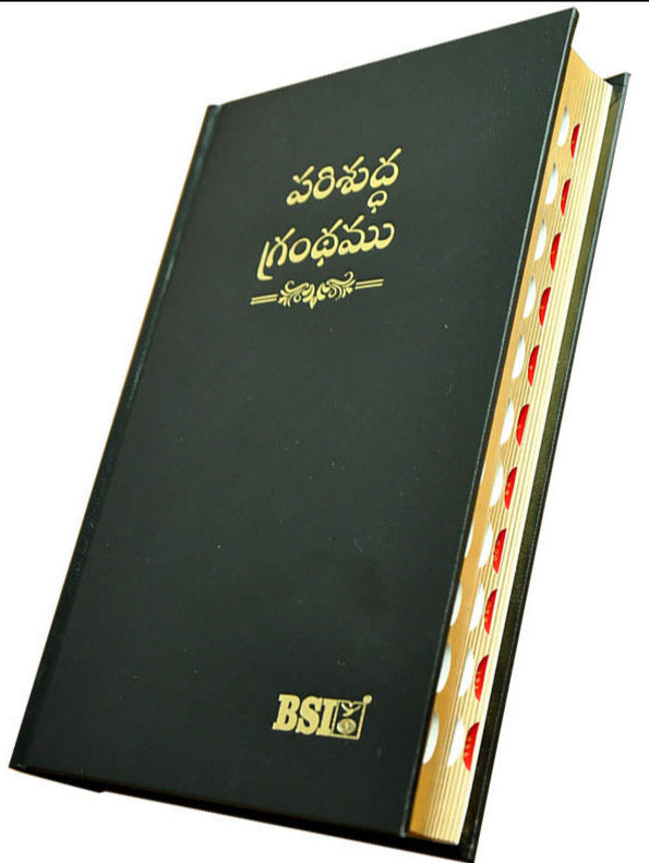 Telugu Bible OV Gilt DY TI Black Hard PL Yapp AMITY | Telugu Bibles | Bibles in Telugu - EachDayKart