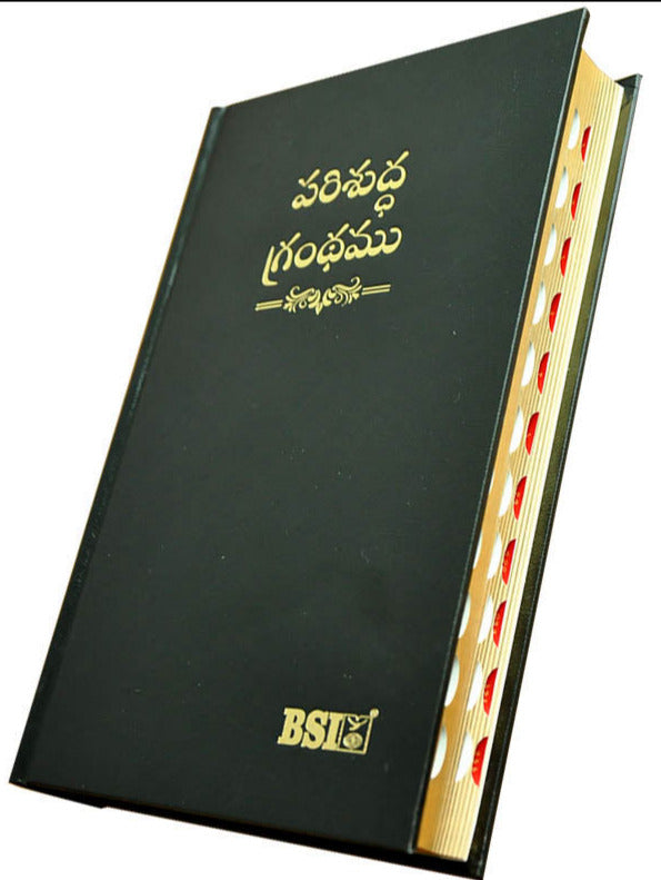 Telugu Bible OV Gilt DY TI Black Hard PL Yapp AMITY | Telugu Bibles | Bibles in Telugu
