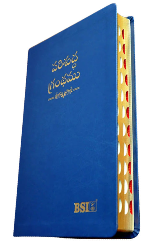 Telugu OV Gilt DY TI Blue PU Yaap | Telugu Bibles | Bibles in Telugu - EachDayKart