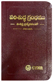 Telugu Bible by CTBR | Telugu Bibles | Telugu Christian Books - EachDayKart