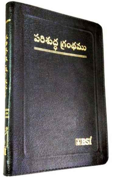 Telugu Bible – O.V (N.F) Deluxe with Zip, Big Font by BSI Version - Telugu Bibles - EachDayKart