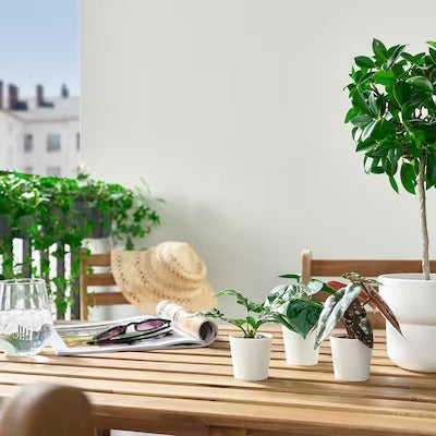 IKEA FEJKA Artifi potted plant w pot, set of 3, in/outdoor green | IKEA Artificial plants & flowers | IKEA Plants & flowers | IKEA Decoration | Eachdaykart