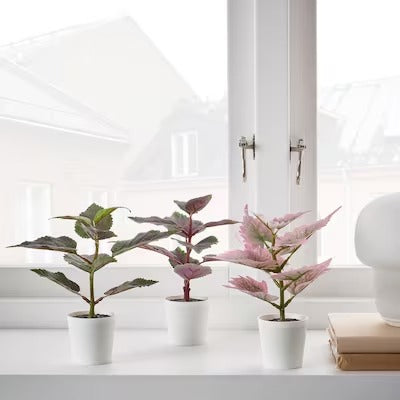IKEA FEJKA Artifi potted plant w pot, set of 3, in/outdoor Painted nettle | IKEA Artificial plants & flowers | IKEA Plants & flowers | IKEA Decoration | Eachdaykart