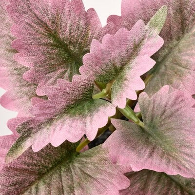 IKEA FEJKA Artifi potted plant w pot, set of 3, in/outdoor Painted nettle | IKEA Artificial plants & flowers | IKEA Plants & flowers | IKEA Decoration | Eachdaykart