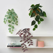 IKEA FEJKA Artificial plant with wall holder, in/outdoor/green/lilac | IKEA Artificial plants & flowers | IKEA Plants & flowers | IKEA Decoration | Eachdaykart - EachDayKart