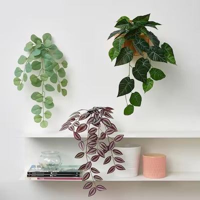 IKEA FEJKA Artificial plant with wall holder, in/outdoor/green/lilac | IKEA Artificial plants & flowers | IKEA Plants & flowers | IKEA Decoration | Eachdaykart - EachDayKart