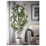 IKEA FEJKA Artificial potted plant, in/outdoor bamboo | IKEA Artificial plants & flowers | IKEA Plants & flowers | IKEA Decoration | Eachdaykart - EachDayKart