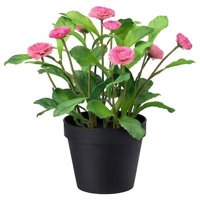IKEA FEJKA Artificial potted plant, in/outdoor/Common daisy pink | IKEA Artificial plants & flowers | IKEA Plants & flowers | IKEA Decoration | Eachdaykart
