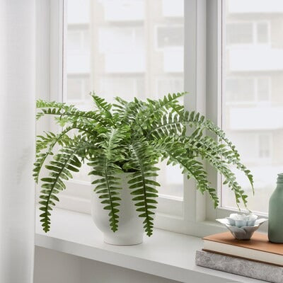 IKEA FEJKA Artificial potted plant, in/outdoor fern | IKEA Artificial plants & flowers | IKEA Plants & flowers | IKEA Decoration | Eachdaykart