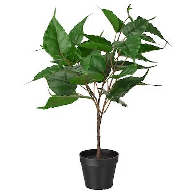 IKEA FEJKA Artificial potted plant, in/outdoor Fig | IKEA Artificial plants & flowers | IKEA Plants & flowers | IKEA Decoration | Eachdaykart