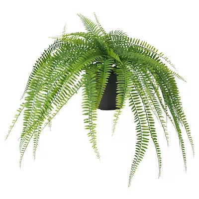 IKEA FEJKA Artificial potted plant, in/outdoor hanging/fern | IKEA Artificial plants & flowers | IKEA Plants & flowers | IKEA Decoration | Eachdaykart