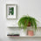 IKEA FEJKA Artificial potted plant, in/outdoor hanging/fern | IKEA Artificial plants & flowers | IKEA Plants & flowers | IKEA Decoration | Eachdaykart