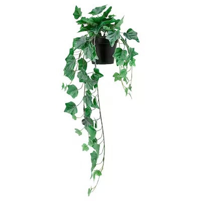 IKEA FEJKA Artificial potted plant, in/outdoor/hanging Ivy | IKEA Artificial plants & flowers | IKEA Plants & flowers | IKEA Decoration | Eachdaykart