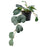 IKEA FEJKA Artificial potted plant, in/outdoor hanging/Peperomia | IKEA Artificial plants & flowers | IKEA Plants & flowers | IKEA Decoration | Eachdaykart