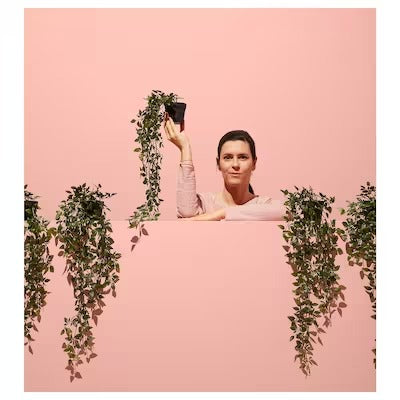 IKEA FEJKA Artificial potted plant, in/outdoor/hanging | IKEA Artificial plants & flowers | IKEA Plants & flowers | IKEA Decoration | Eachdaykart - EachDayKart