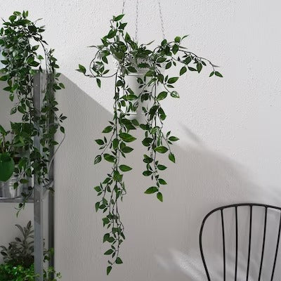 IKEA FEJKA Artificial potted plant, in/outdoor/hanging | IKEA Artificial plants & flowers | IKEA Plants & flowers | IKEA Decoration | Eachdaykart - EachDayKart