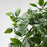 IKEA FEJKA Artificial potted plant, in/outdoor/hanging | IKEA Artificial plants & flowers | IKEA Plants & flowers | IKEA Decoration | Eachdaykart