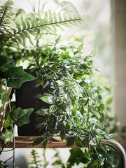 IKEA FEJKA Artificial potted plant, in/outdoor/hanging | IKEA Artificial plants & flowers | IKEA Plants & flowers | IKEA Decoration | Eachdaykart - EachDayKart