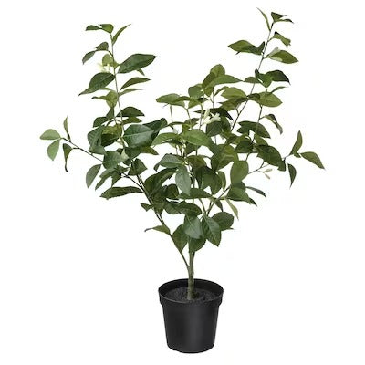 IKEA FEJKA Artificial potted plant, in/outdoor lemon | IKEA Artificial plants & flowers | IKEA Plants & flowers | IKEA Decoration | Eachdaykart