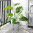IKEA FEJKA Artificial potted plant, in/outdoor Monstera | IKEA Artificial plants & flowers | IKEA Plants & flowers | IKEA Decoration | Eachdaykart