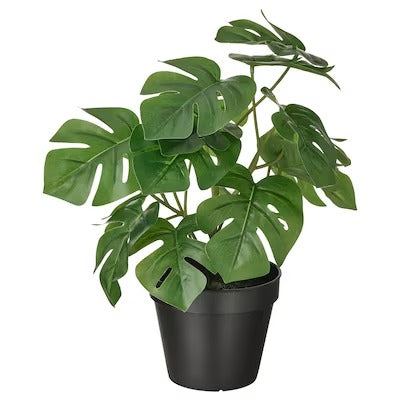IKEA FEJKA Artificial potted plant, in/outdoor Monstera | IKEA Artificial plants & flowers | IKEA Plants & flowers | IKEA Decoration | Eachdaykart - EachDayKart