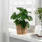 IKEA FEJKA Artificial potted plant, in/outdoor Monstera | IKEA Artificial plants & flowers | IKEA Plants & flowers | IKEA Decoration | Eachdaykart - EachDayKart