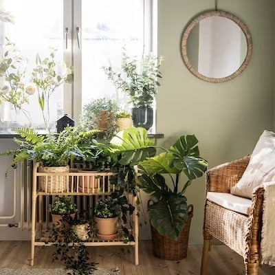 IKEA FEJKA Artificial potted plant, in/outdoor Monstera | IKEA Artificial plants & flowers | IKEA Plants & flowers | IKEA Decoration | Eachdaykart