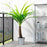IKEA FEJKA Artificial potted plant, in/outdoor palm | IKEA Artificial plants & flowers | IKEA Plants & flowers | IKEA Decoration | Eachdaykart