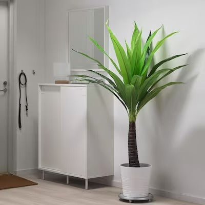 IKEA FEJKA Artificial potted plant, in/outdoor palm | IKEA Artificial plants & flowers | IKEA Plants & flowers | IKEA Decoration | Eachdaykart