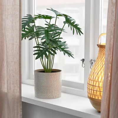 IKEA FEJKA Artificial potted plant, in/outdoor philodendron | IKEA Artificial plants & flowers | IKEA Plants & flowers | IKEA Decoration | Eachdaykart