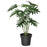IKEA FEJKA Artificial potted plant, in/outdoor philodendron | IKEA Artificial plants & flowers | IKEA Plants & flowers | IKEA Decoration | Eachdaykart