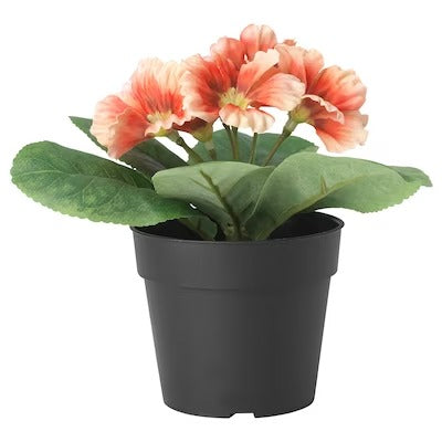 IKEA FEJKA Artificial potted plant, in/outdoor/primula orange | IKEA Artificial plants & flowers | IKEA Plants & flowers | IKEA Decoration | Eachdaykart
