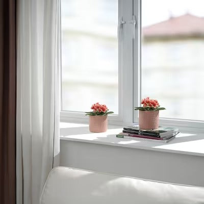 IKEA FEJKA Artificial potted plant, in/outdoor/primula orange | IKEA Artificial plants & flowers | IKEA Plants & flowers | IKEA Decoration | Eachdaykart