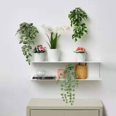 IKEA FEJKA Artificial potted plant, in/outdoor/primula orange | IKEA Artificial plants & flowers | IKEA Plants & flowers | IKEA Decoration | Eachdaykart