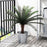 IKEA FEJKA Artificial potted plant, in/outdoor sago palm | IKEA Artificial plants & flowers | IKEA Plants & flowers | IKEA Decoration | Eachdaykart