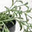 IKEA FEJKA Artificial potted plant, in/outdoor/String of bananas hanging | IKEA Artificial plants & flowers | IKEA Plants & flowers | IKEA Decoration | Eachdaykart