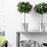 IKEA FEJKA Artificial potted plant, in/outdoor/Weeping fig stem | IKEA Artificial plants & flowers | IKEA Plants & flowers | IKEA Decoration | Eachdaykart