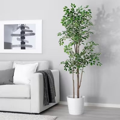 IKEA FEJKA Artificial potted plant, in/outdoor Weeping fig | IKEA Artificial plants & flowers | IKEA Plants & flowers | IKEA Decoration | Eachdaykart