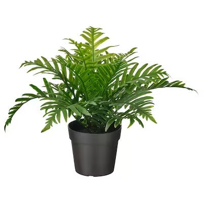 IKEA FEJKA Artificial potted plant, in/outdoor Whitley Giant | IKEA Artificial plants & flowers | IKEA Plants & flowers | IKEA Decoration | Eachdaykart