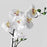 IKEA FEJKA Artificial potted plant, Orchid white | IKEA Artificial plants & flowers | IKEA Plants & flowers | IKEA Decoration | Eachdaykart