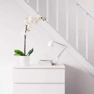 IKEA FEJKA Artificial potted plant, Orchid white | IKEA Artificial plants & flowers | IKEA Plants & flowers | IKEA Decoration | Eachdaykart