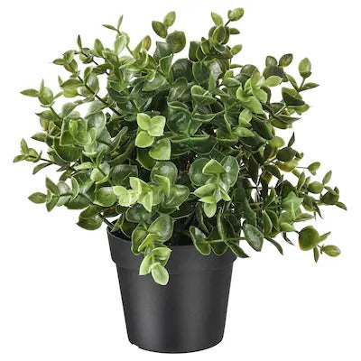 IKEA FEJKA Artificial potted plant, oregano | IKEA Artificial plants & flowers | IKEA Plants & flowers | IKEA Decoration | Eachdaykart