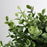 IKEA FEJKA Artificial potted plant, oregano | IKEA Artificial plants & flowers | IKEA Plants & flowers | IKEA Decoration | Eachdaykart