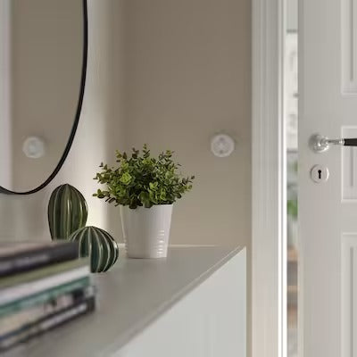 IKEA FEJKA Artificial potted plant, oregano | IKEA Artificial plants & flowers | IKEA Plants & flowers | IKEA Decoration | Eachdaykart