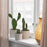 IKEA FEJKA Artificial potted plant, set of 3, in/outdoor cactus | IKEA Artificial plants & flowers | IKEA Plants & flowers | IKEA Decoration | Eachdaykart
